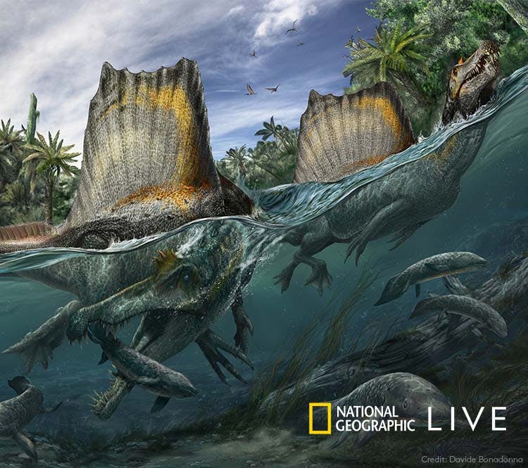 Spinosaurus:  Lost Giant of the Cretaceous